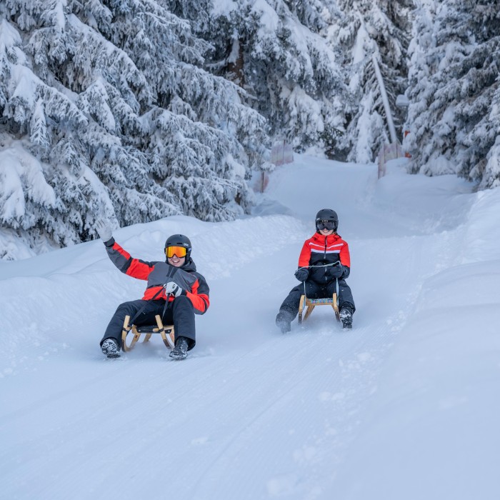 Tobogganing fun in See